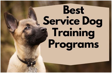 colleges with service dog training programs