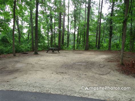 colleton state park camping