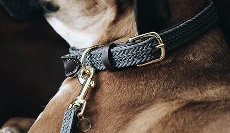 Hermès collier de chien Black Leather ref.26568 Joli Closet