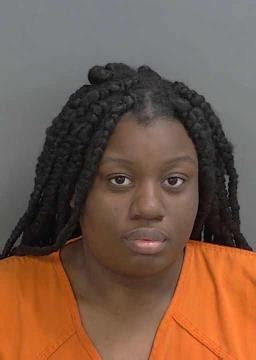 collier county arrests today