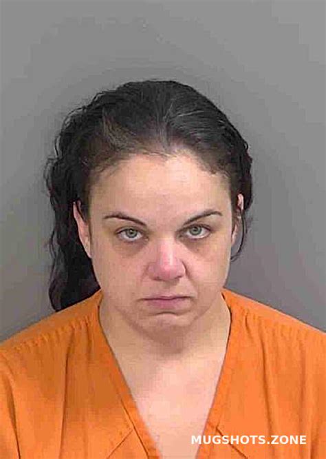 collier county mugshots florida