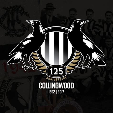 collingwood football club afl