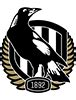 collingwood football club official site