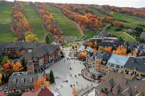 collingwood to blue mountain