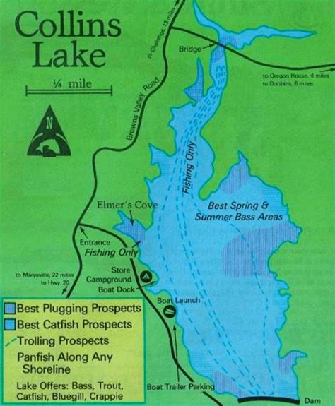 Collins Lake Fishing Spots