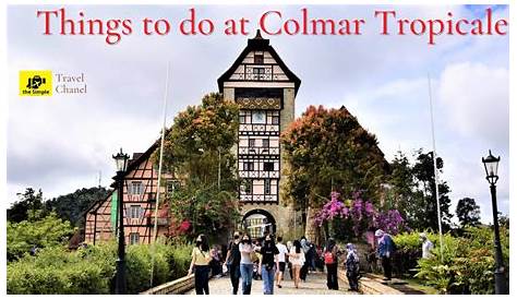 Complete Guide The Best Things to do in Colmar Tropicale