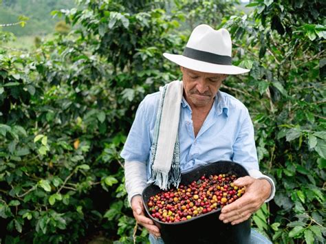 colombian coffee exporters
