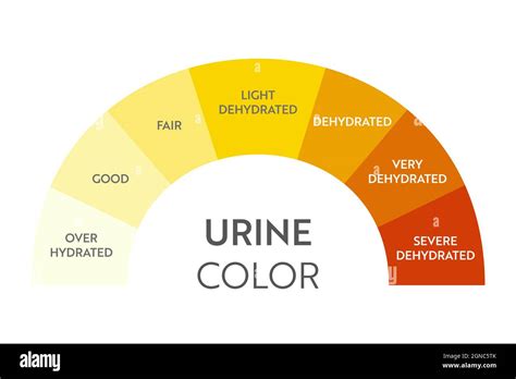 Dehydrator Urine Color Dehydration