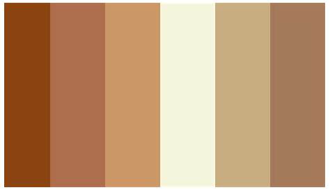 different shades of beige and brown are shown in this graphic style
