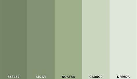 Sage Green Color Palette