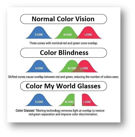 Color Blind Glasses Difference