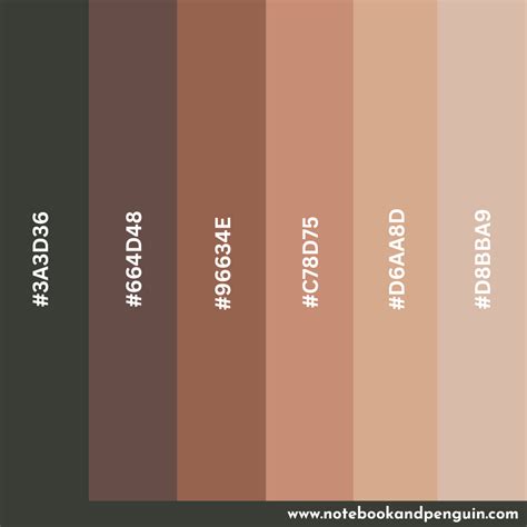 color code for black skin