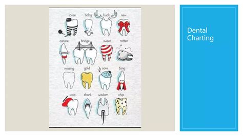 Color Coding Dental Charting