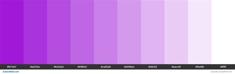 color hex bright purple