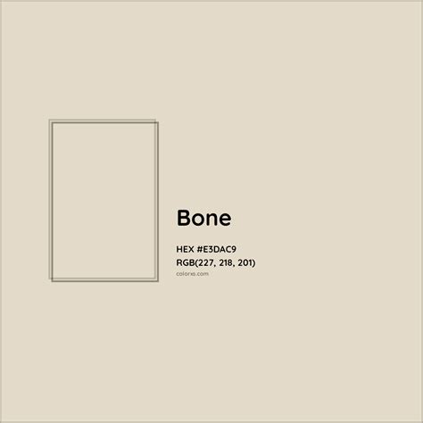 Color Hex Code Bone