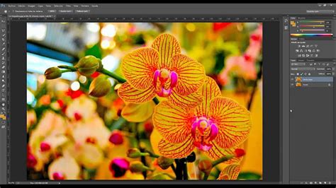 Color Lab Tutorial Photoshop