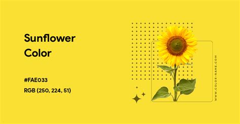 Color Sunflower Hex Code