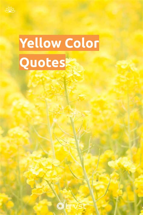 Color Yellow Quote