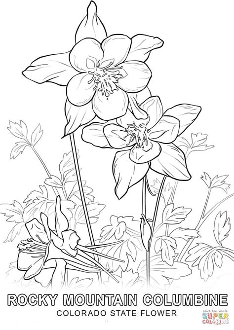 colorado flower coloring pages
