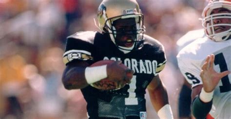 colorado buffaloes football 247