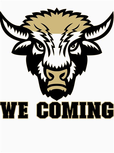 colorado buffaloes we coming