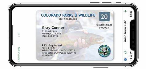 Colorado Fishing License Online