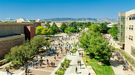colorado state university academic programs
