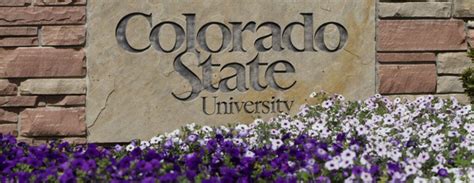 colorado state university jobs openings