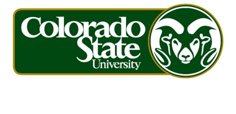 colorado state university msw