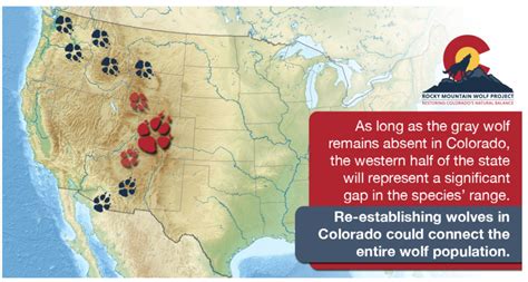 colorado wolf reintroduction vote