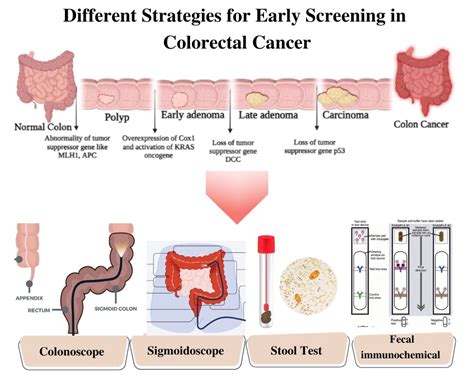 Colorectal Screening Nl
