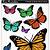 colored butterfly printable