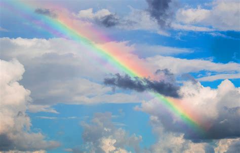 Colores del arcoiris en orden Cuáles son y cómo se forman 🌈