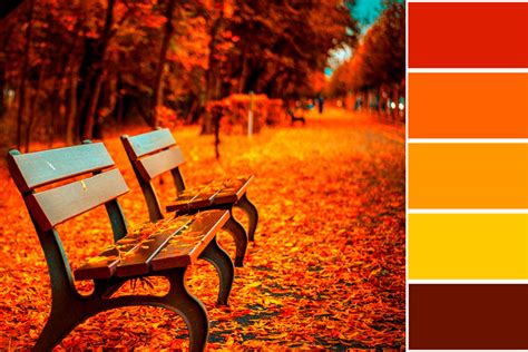 Colores Otoo