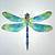 colorful dragonfly drawing