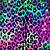 colorful leopard print