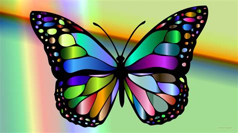 colorful butterfly images
