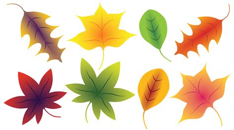 colorful fall leaves clipart