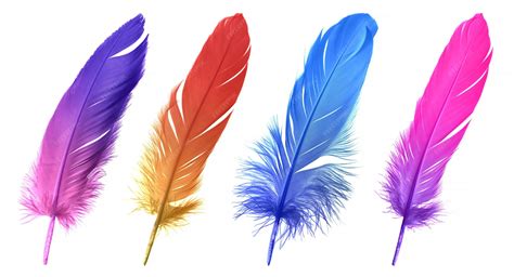 colorful feathers