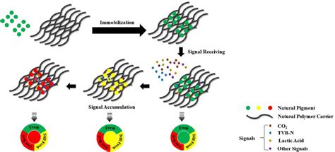 Colorimetric Indicator