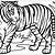 coloring a tiger
