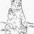 coloring page bear