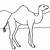 coloring page camel