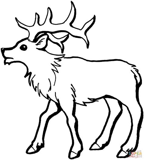 Coloring Page Elk