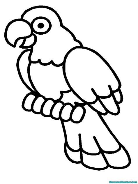 coloring pages Burung