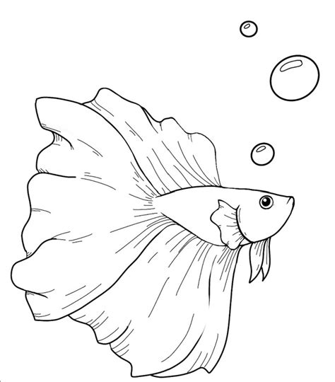 coloring pages fish betta