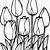 coloring pages for tulips