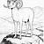 coloring pages of bighorn sheep
