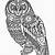 coloring pages pdf animals