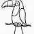 coloring pages printable tucan